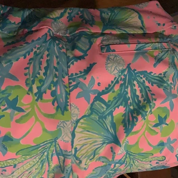COPY - Lilly Pulitzer corso pants size 16 - Picture 7 of 9
